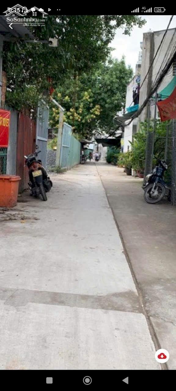 Ảnh 7