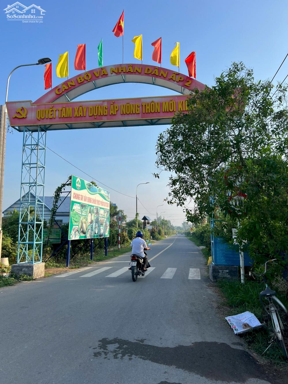 Ảnh 7