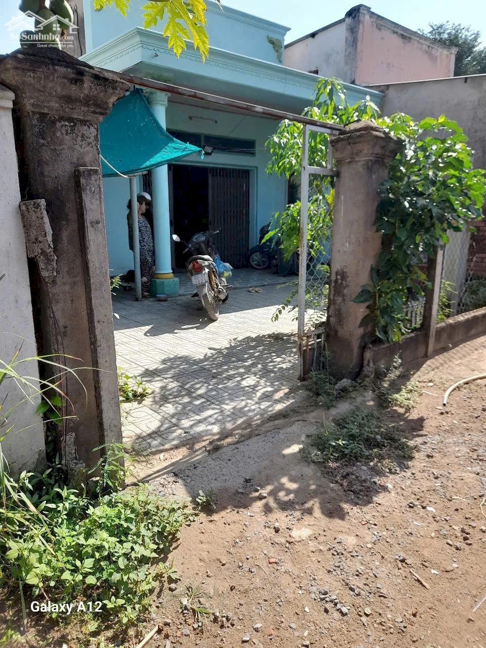 Ảnh 1