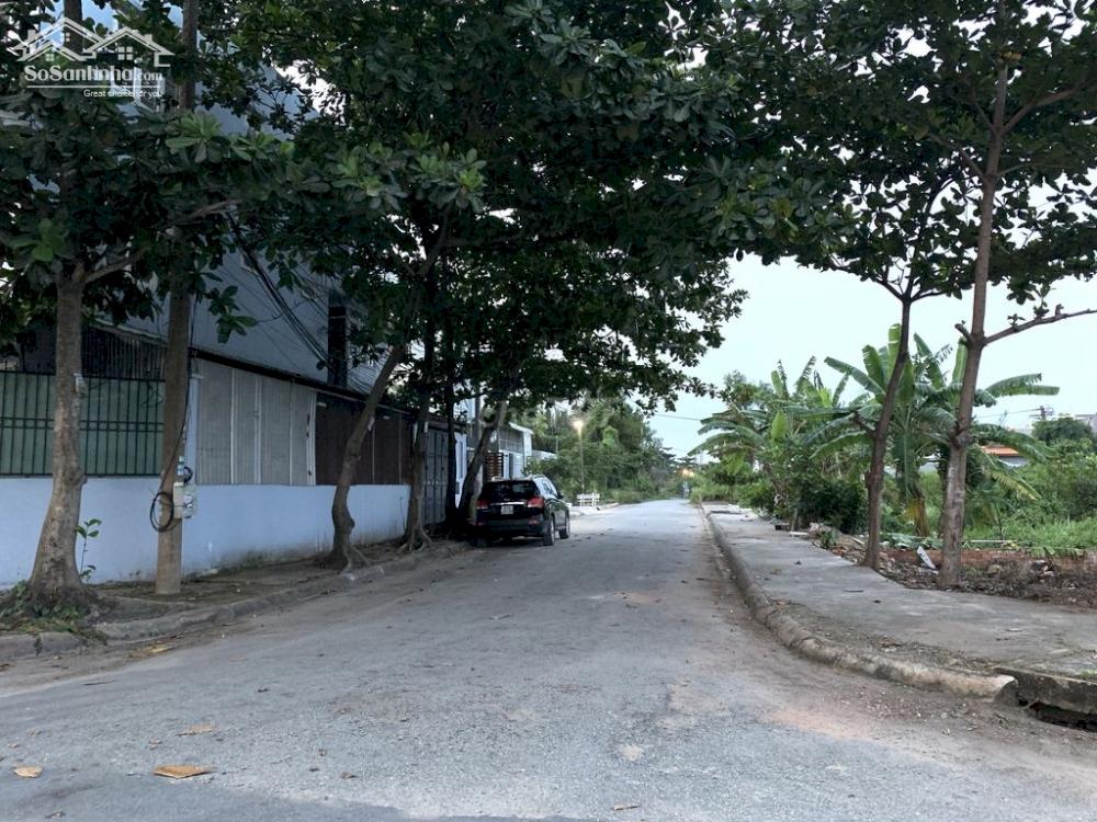 Ảnh 2