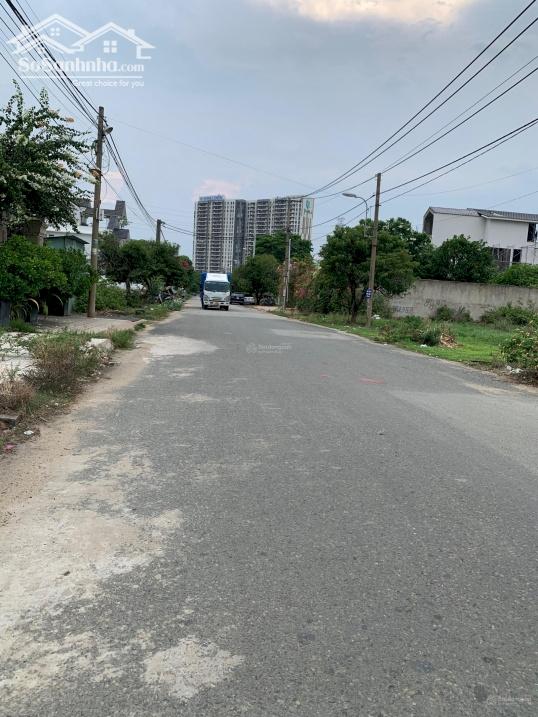 Ảnh 5