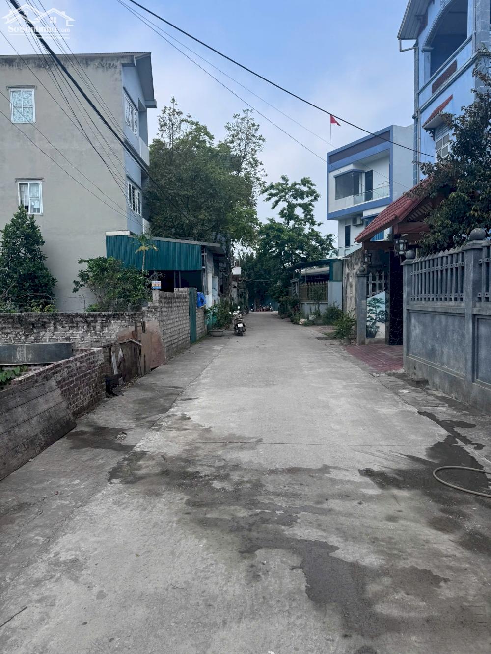 Ảnh 5