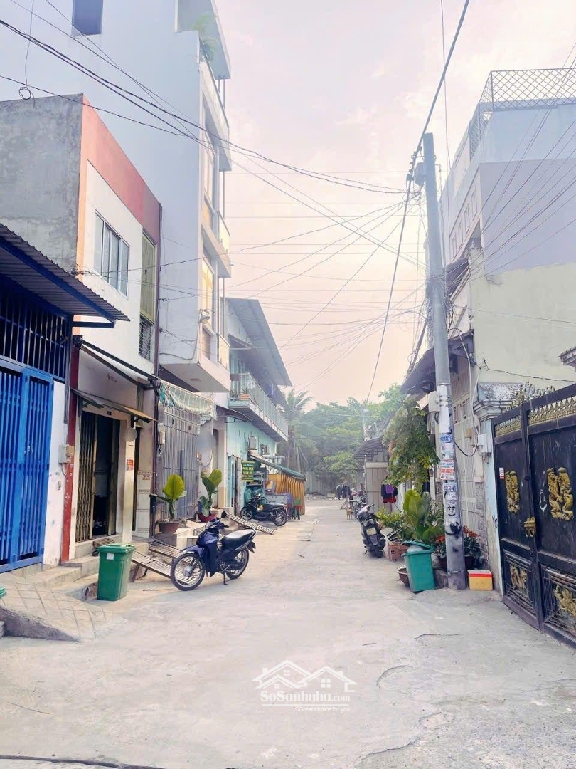 Ảnh 1