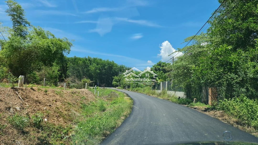 Ảnh 2