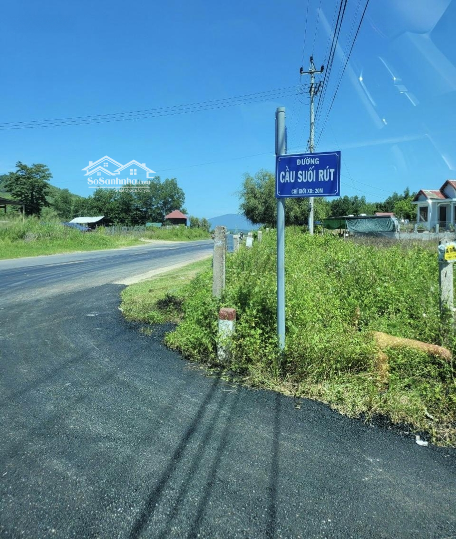 Ảnh 3