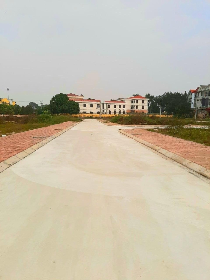 Ảnh 2