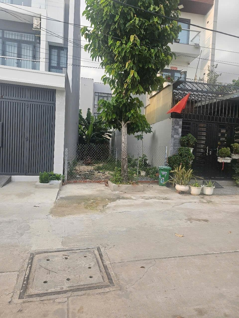 Ảnh 1