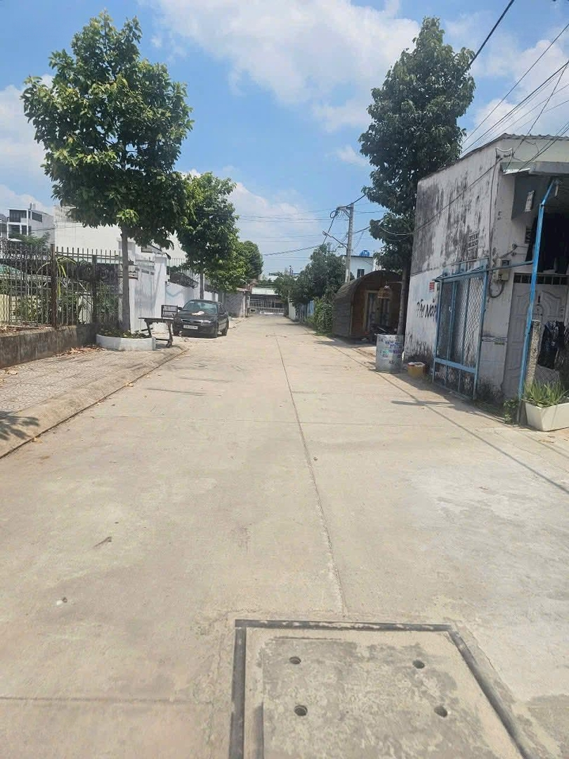Ảnh 2