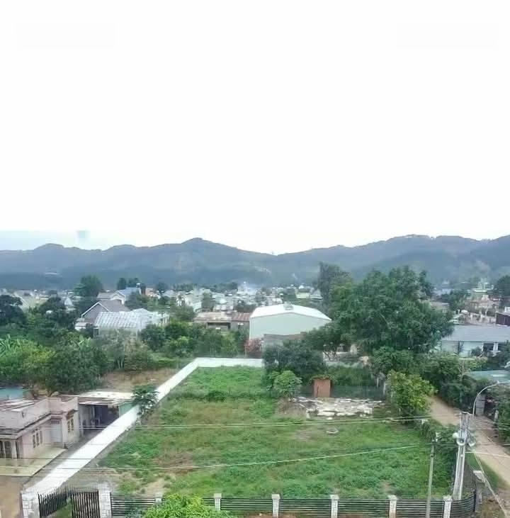 Ảnh 1
