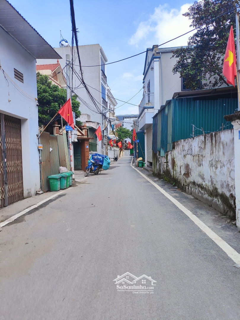 Ảnh 1