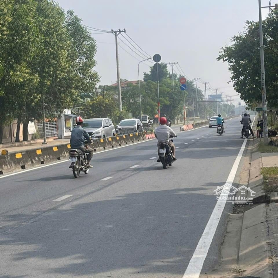 Ảnh 2
