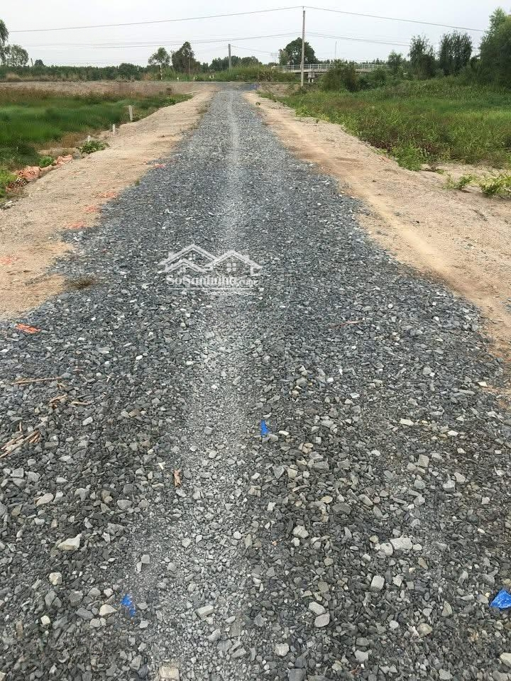 Ảnh 2