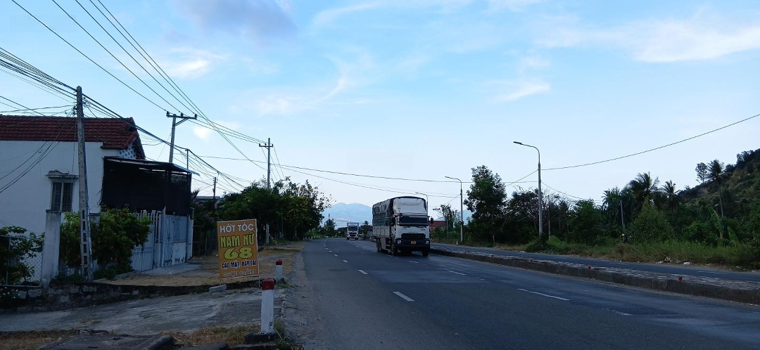 Ảnh 2