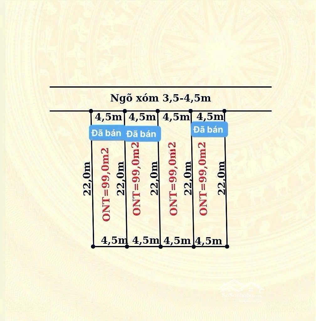 Ảnh 1