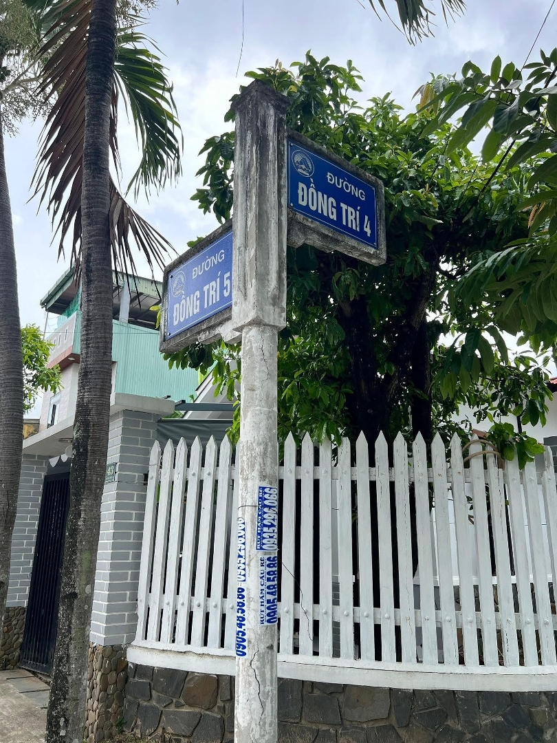 Ảnh 1