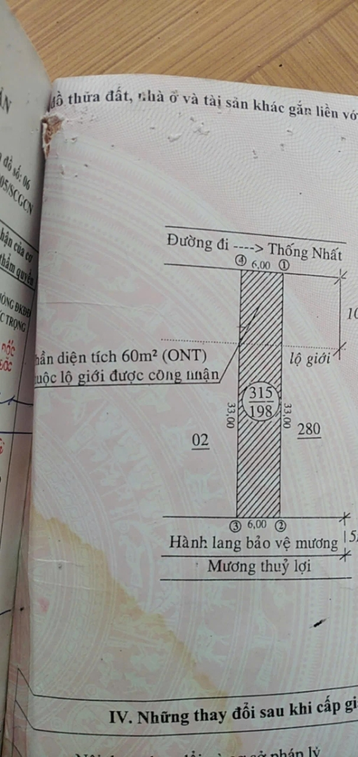 Ảnh 2