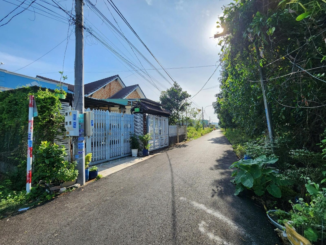 Ảnh 2