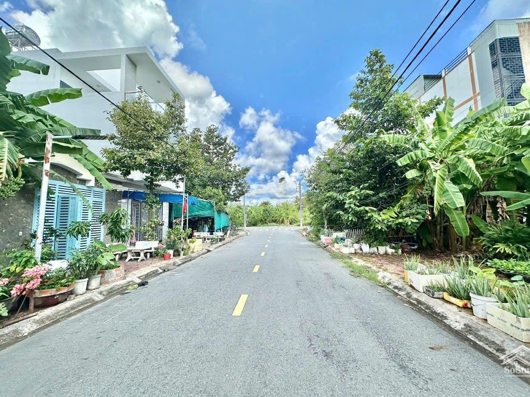 Ảnh 2