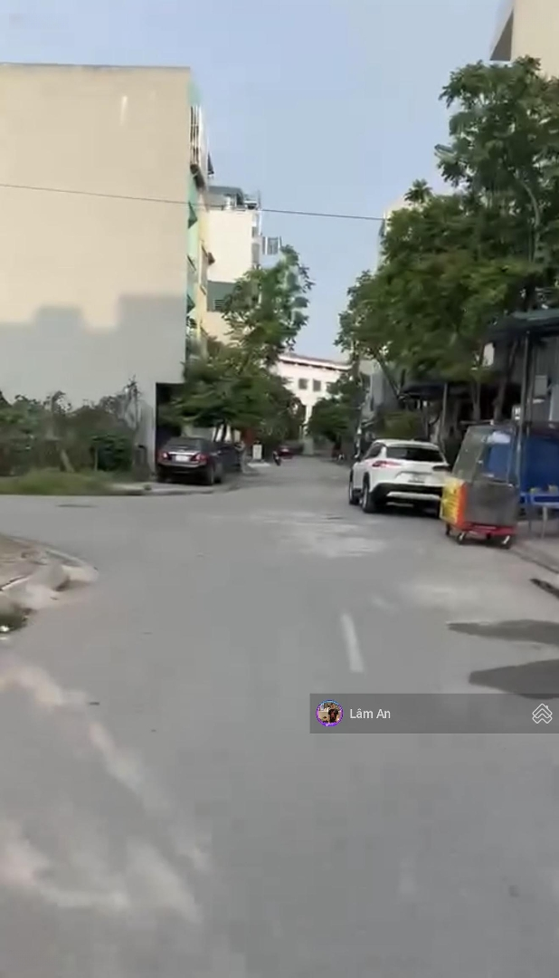 Ảnh 3