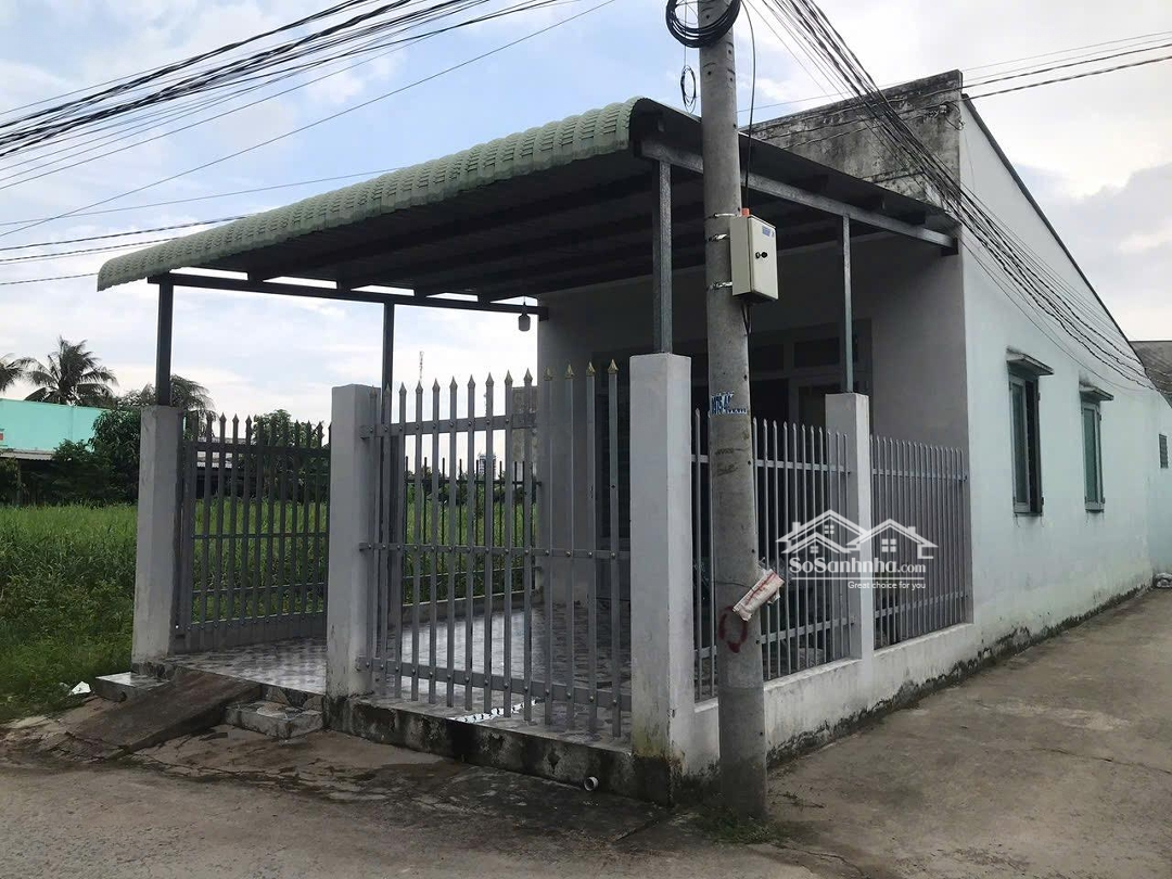 Ảnh 1