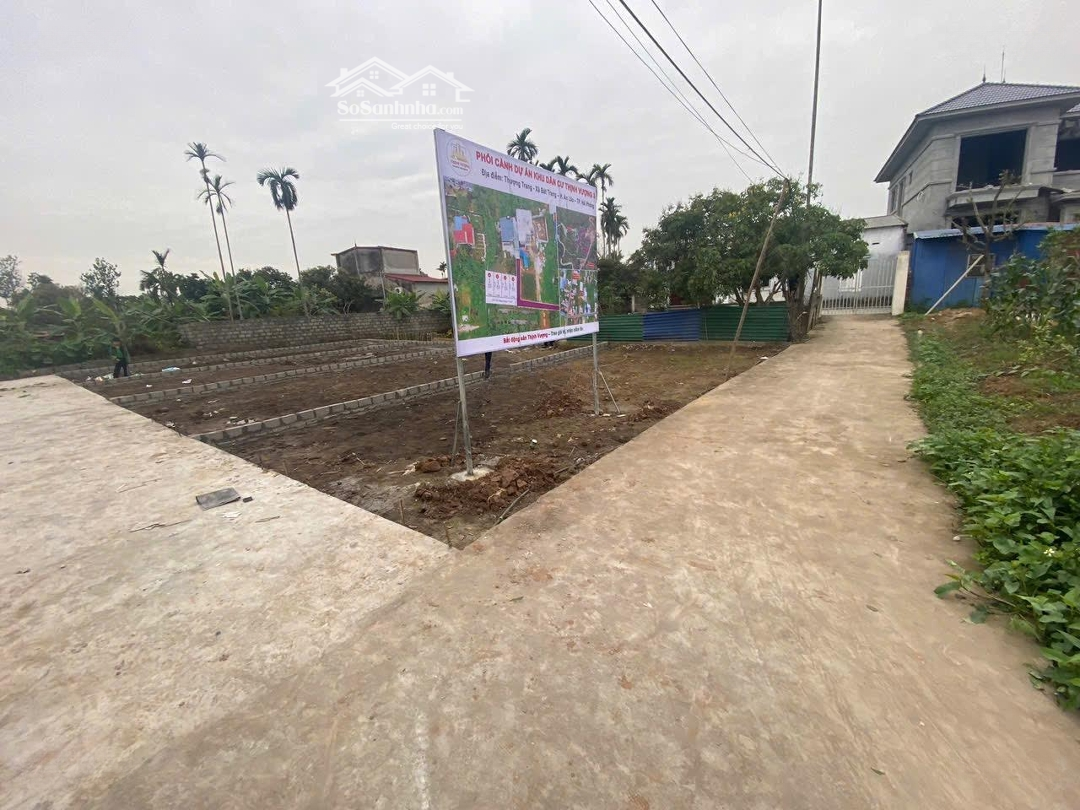 Ảnh 2