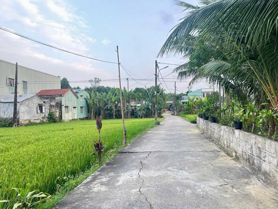 Ảnh 1