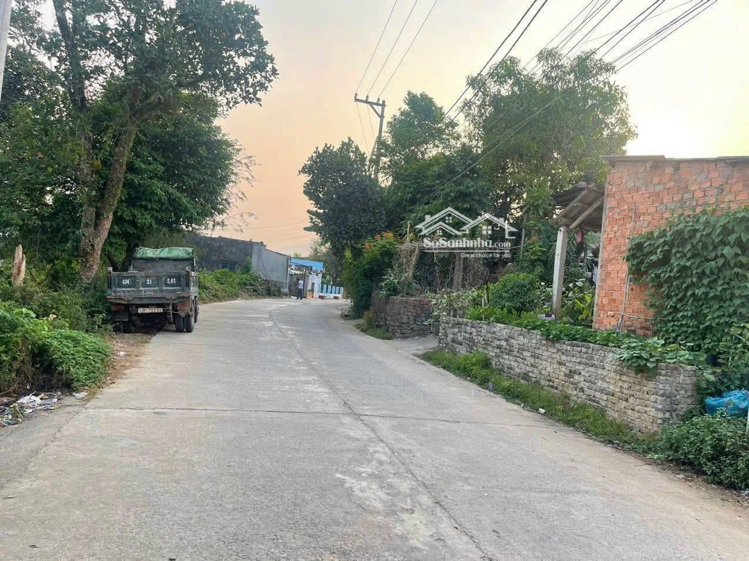 Ảnh 2