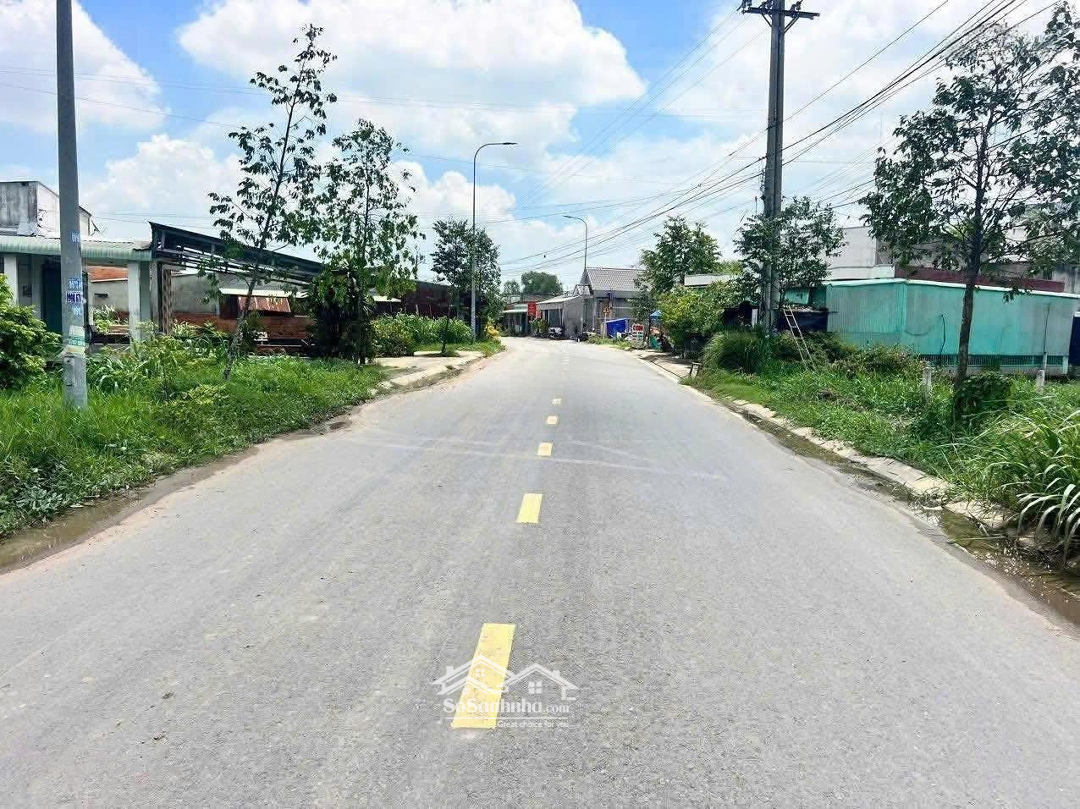 Ảnh 2