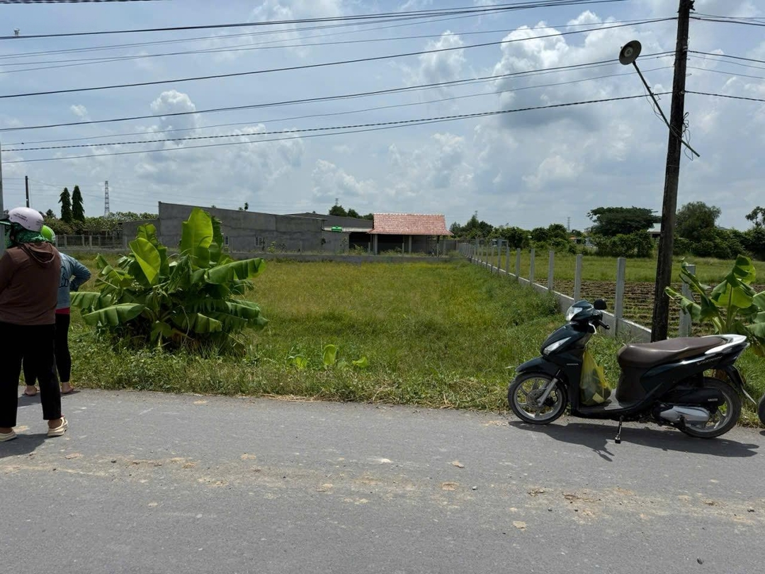 Ảnh 1