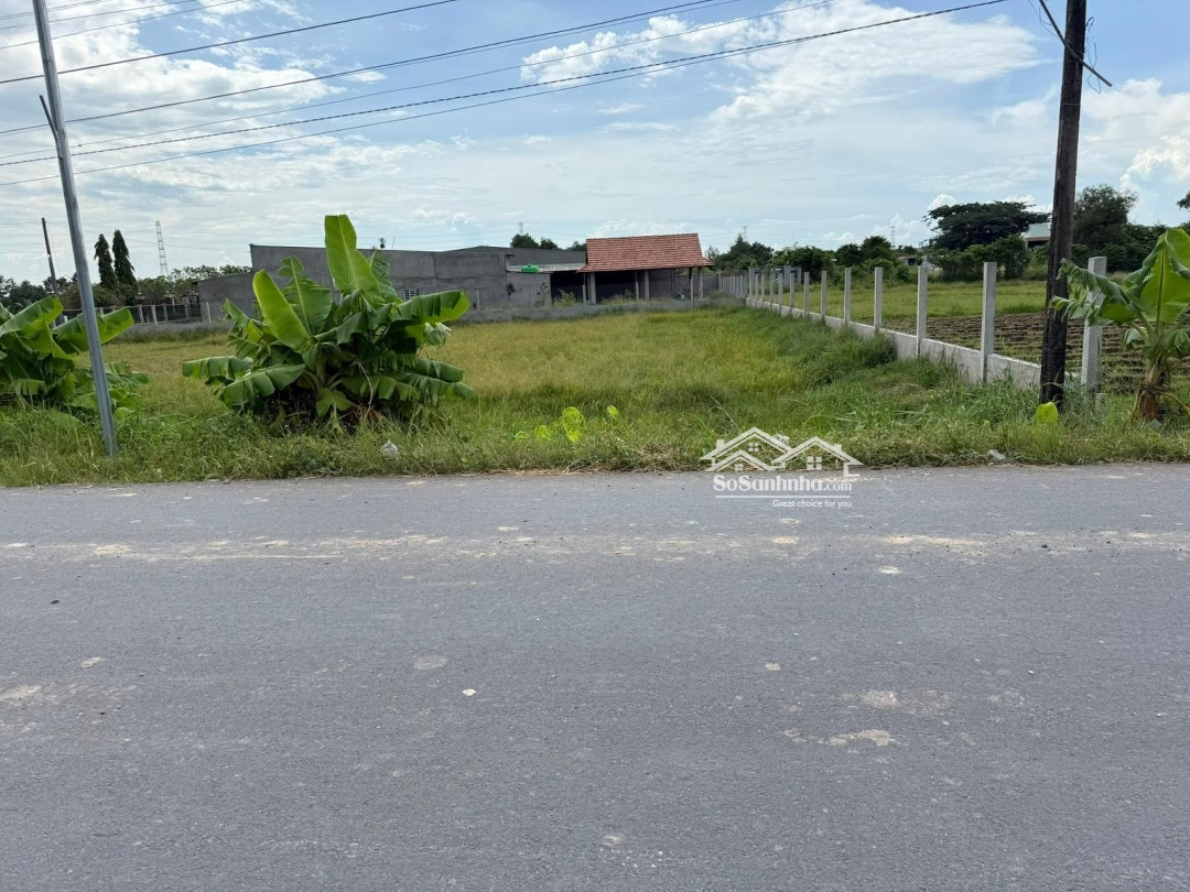 Ảnh 2