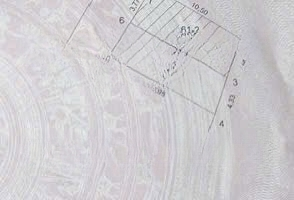 Ảnh 2