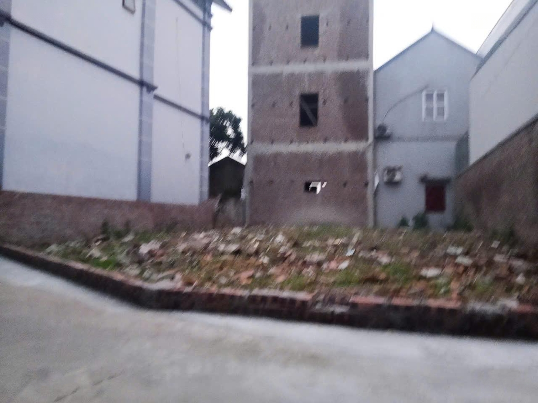 Ảnh 2