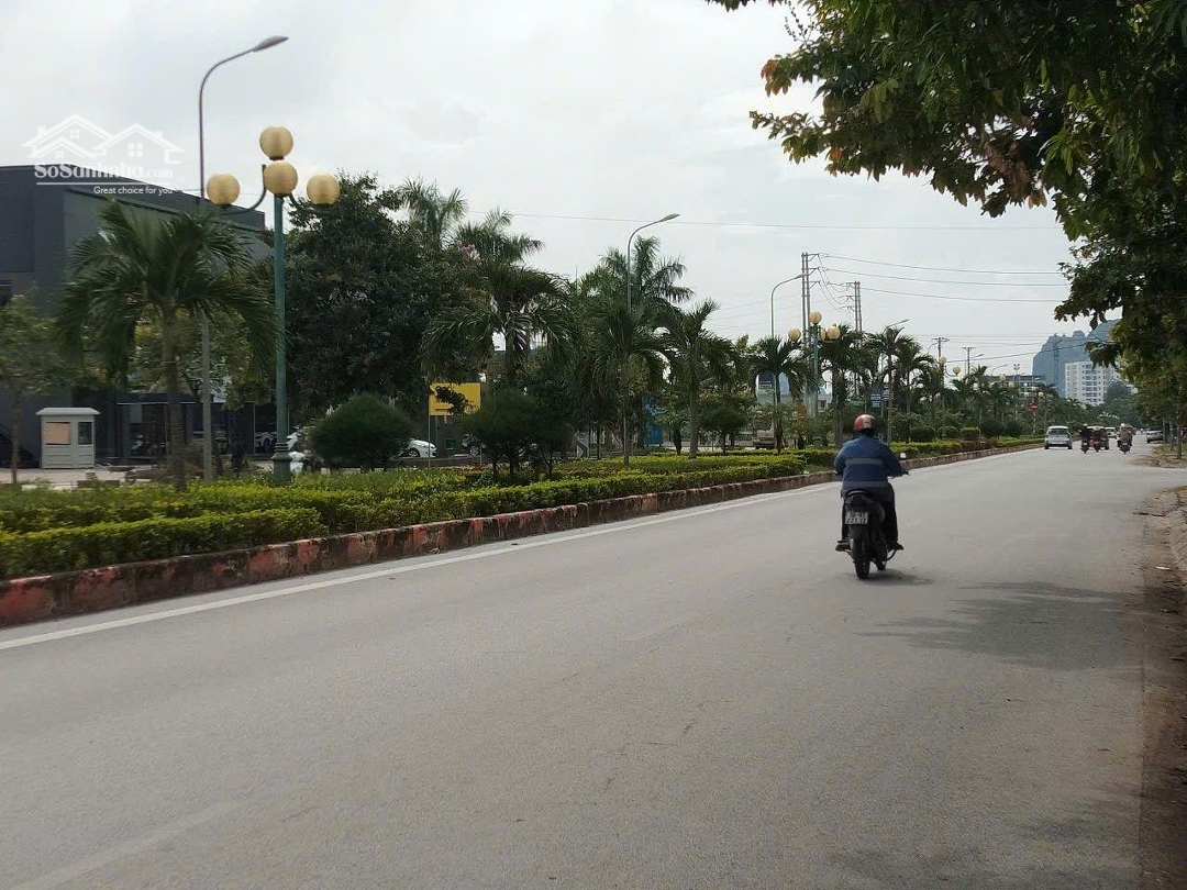 Ảnh 3
