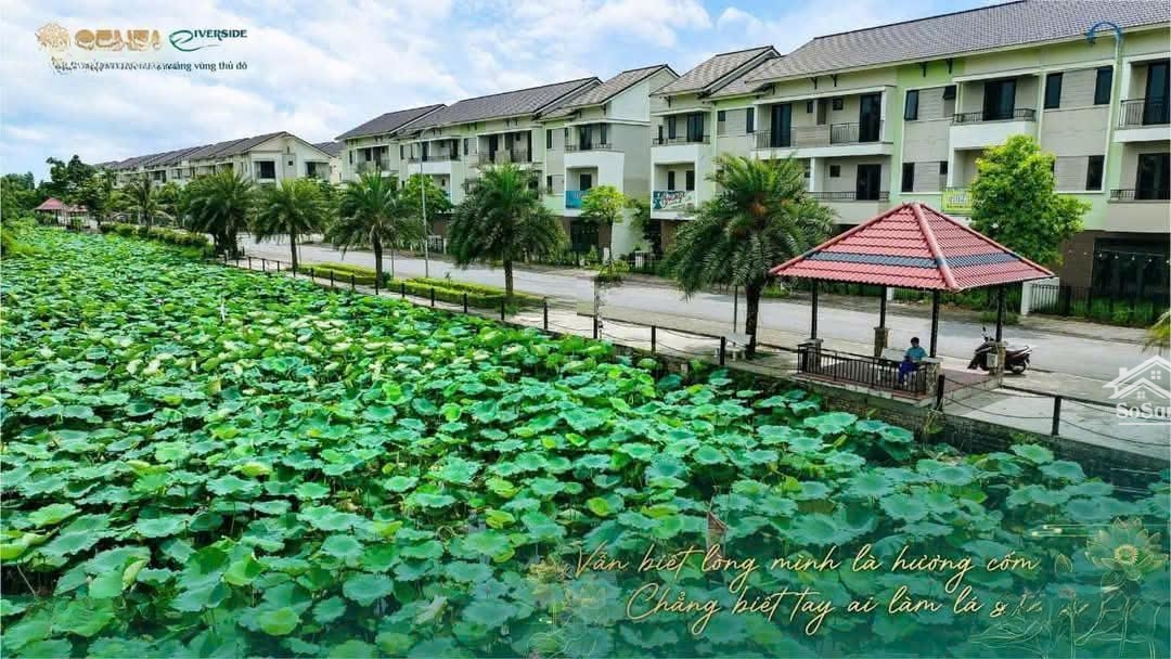 Cơ Hội đầu Tư Shophouse View Sông Cạnh Nhà Ga Metro ,sát Chợ Vải Ninh Hiệp ,cách Tây Hồ 12km