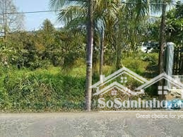 Cần Bán Gấp Lô đất Nhà Vườn 4.200m² Tại Phong điền, Cần Thơ, Vị Trí Cực đẹp Và Tiện Lợi!