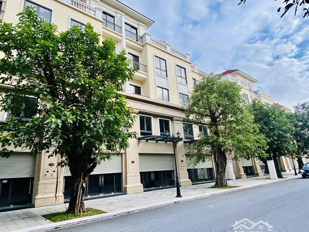 Mặt Tiền Kinh Doanh! Liền Kề San Hô Mặt đường 20m Cực đẹp - Mặt Tiền 6m, Giá Cực Rẻ Chỉ 16 Tỷ Hơn