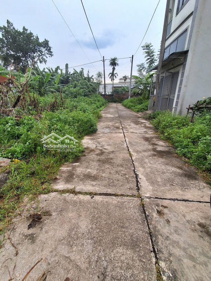 Bán đất đấu Giá Biên Giang Hà đông 61m Cách Ql6 200m Giá Chỉ 2,9 Tỷ