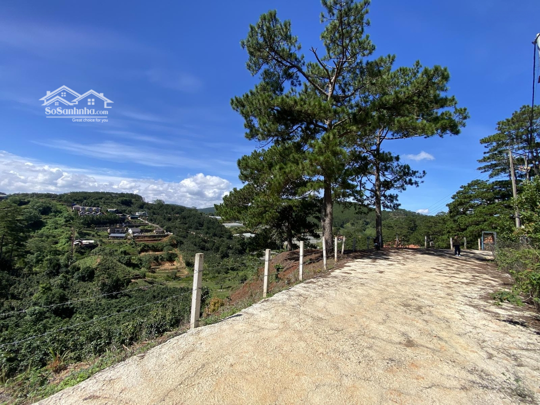 Bán đất Măng Lin đà Lạt 2,3 Ha View đẹp Có Thể Chuyển Xây Dựng