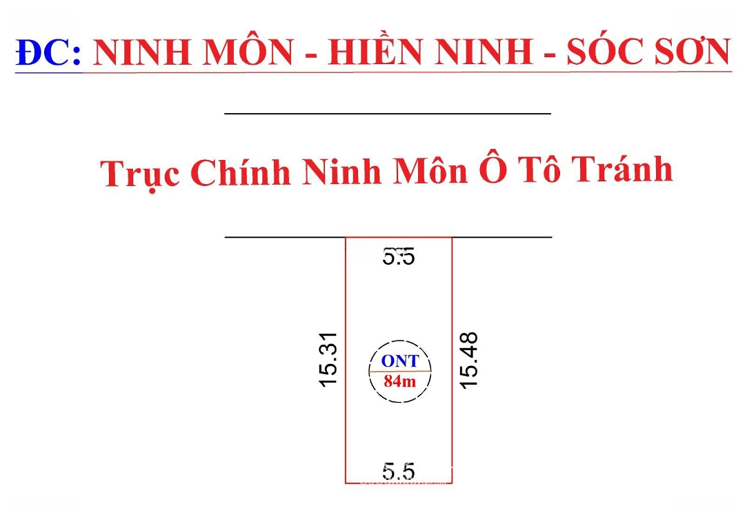 Ảnh 1