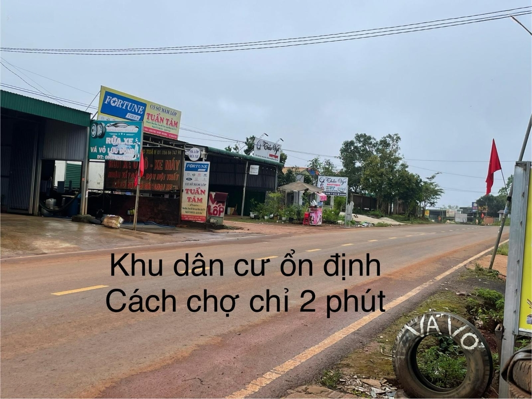 Ảnh 1