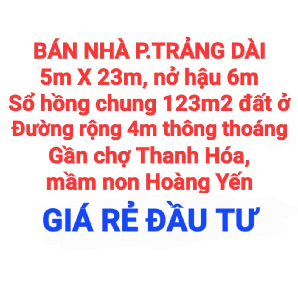 Ảnh 12