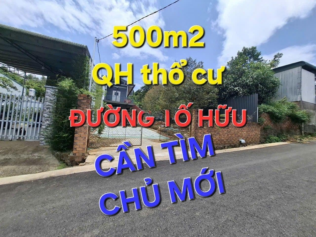 Ảnh 1