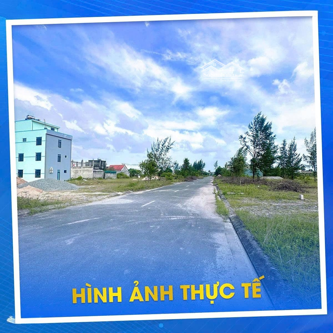 Ảnh 3
