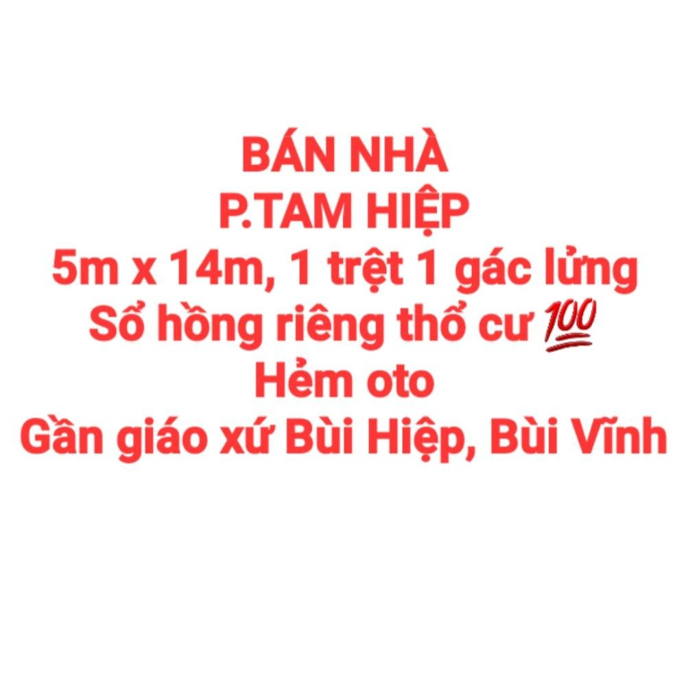 Ảnh 1