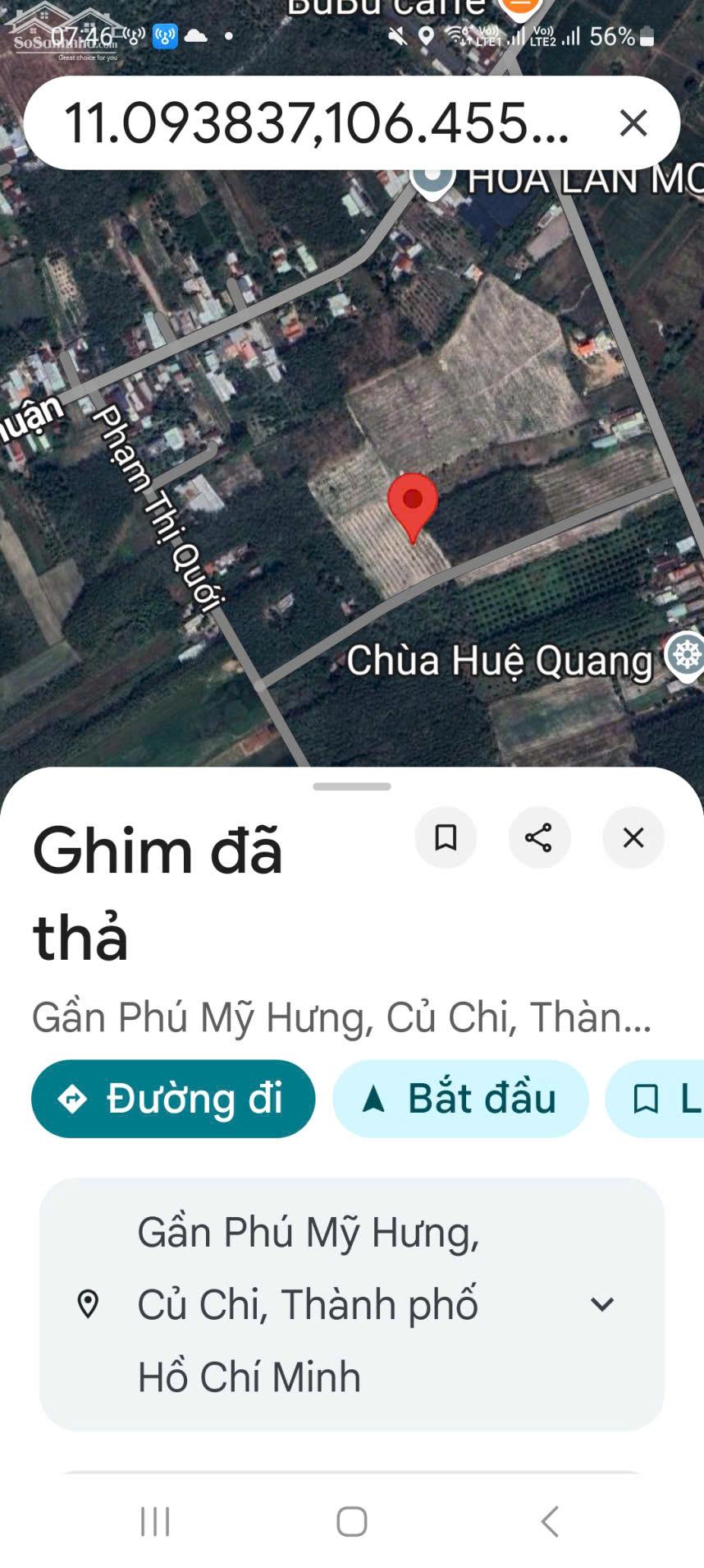 Ảnh 5