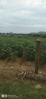 Cần bán đất gần mặt tiền đường Vận Hành 1, Xã Ninh Tây, Ninh Hòa, Khánh Hòa