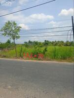 1 công đất Mt đường Mai Bá Hương, gần vòng xoay lớn P5 TP Tân An, Long An