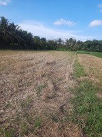 chính chủ bán đất ruộng sát đường đi lại, gần khu dân cư đông đúc