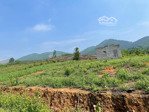cho thuê 4500m2 đất sơn lai, nho quan, ninh bình