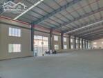 Cho thuê kho xưởng 8000m2, 300tr Thuận An